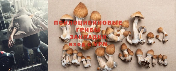 амф Алексеевка
