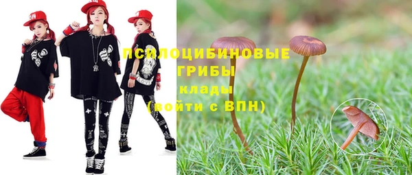 дурь Алексин